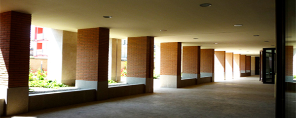 Vista 1